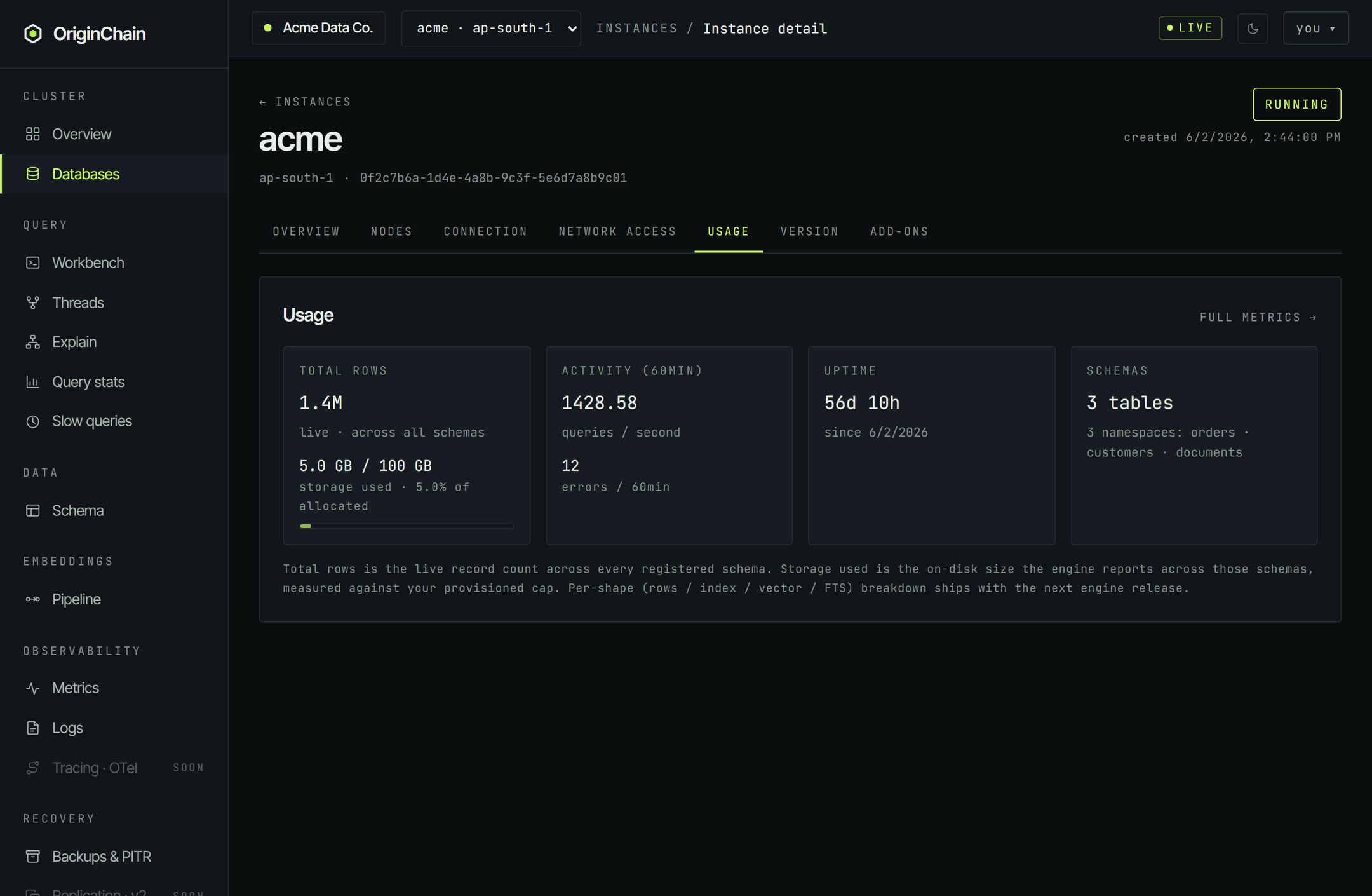 The Usage tab showing four tiles - total rows with a storage-used bar, activity over the last sixty minutes with queries per second and errors, uptime, and a schema count naming the registered tables.